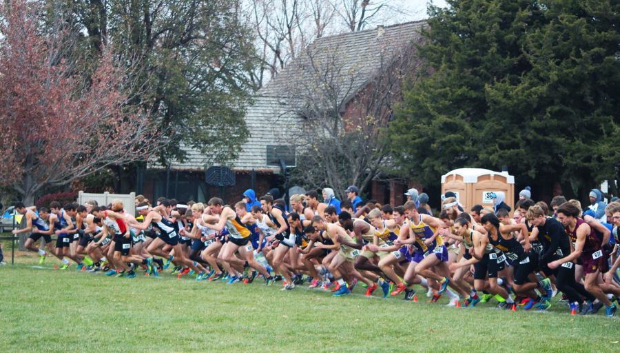Cross+country+faces+difficult+regional