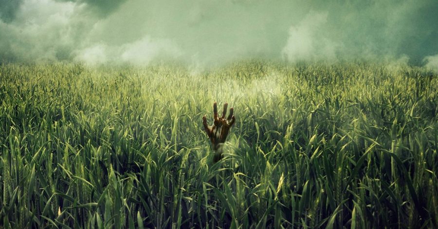 in+the+tall+grass+movie+poster+photo+by+Copperheart+Entertainment