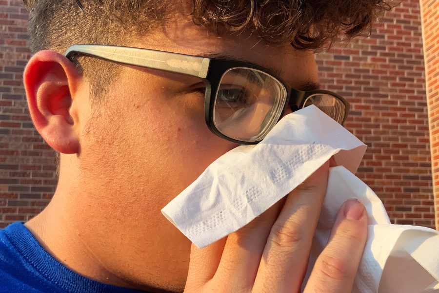 Person Sneezing into a Tissue