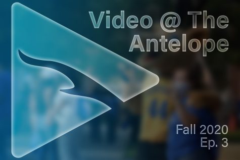 Video @ The Antelope