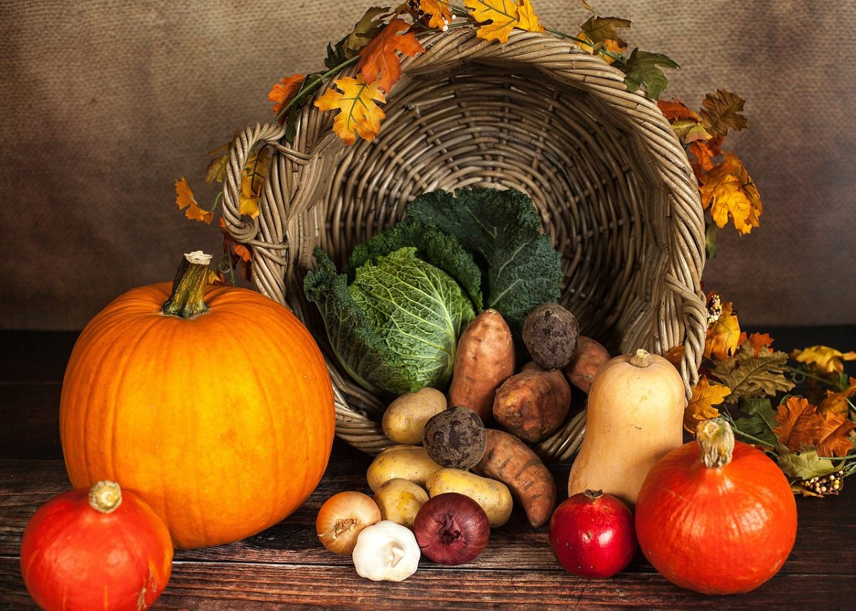 From pumpkin carving to haunted houses, what to do this fall