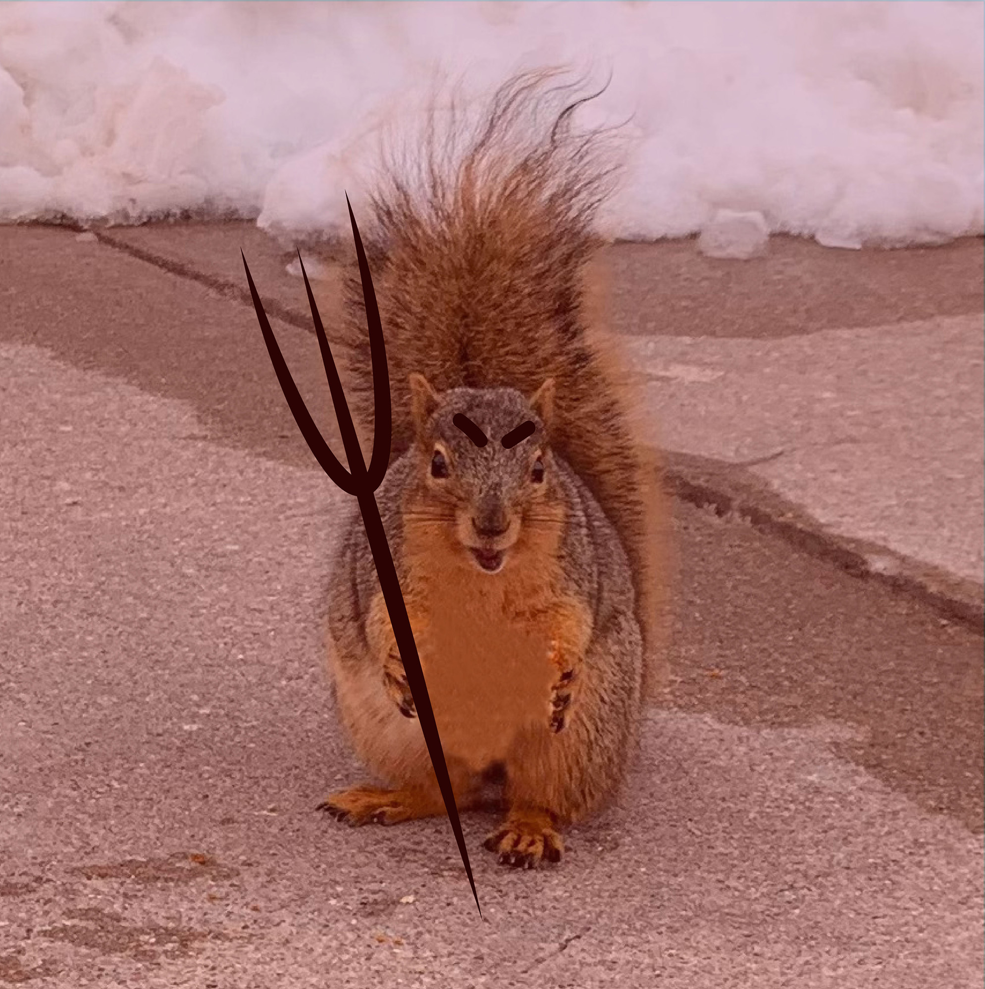 Campus squirrels jump at opportunity to become new mascot – The Antelope