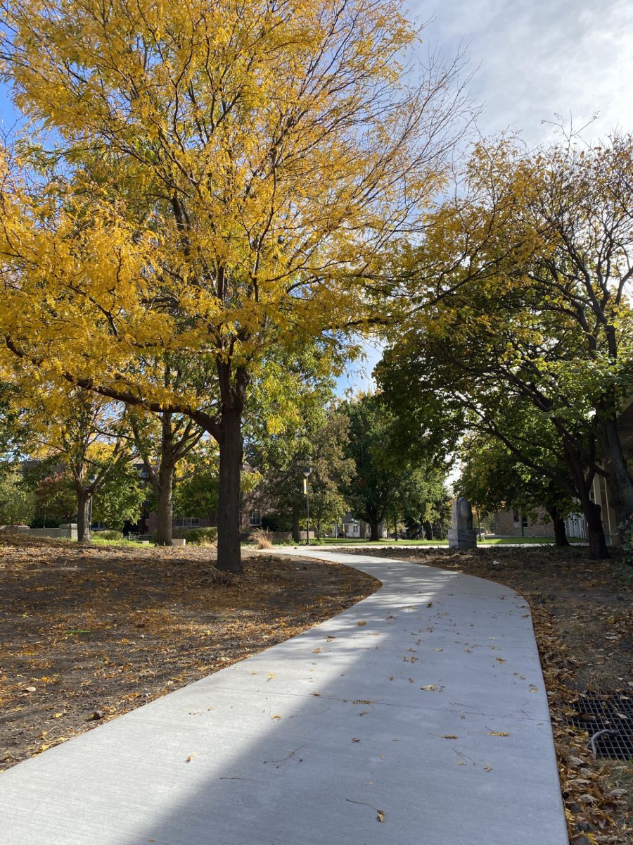 Changing leaves can be seen all across campus. Photo by Jenna Heinz / Antelope Staff