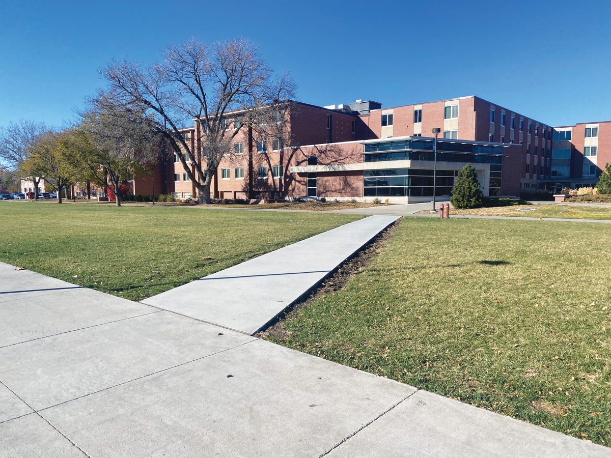 Sidewalks were added on campus where students had worn down the grass, including by residence halls. Photo by Jenna Heinz / Antelope Staff