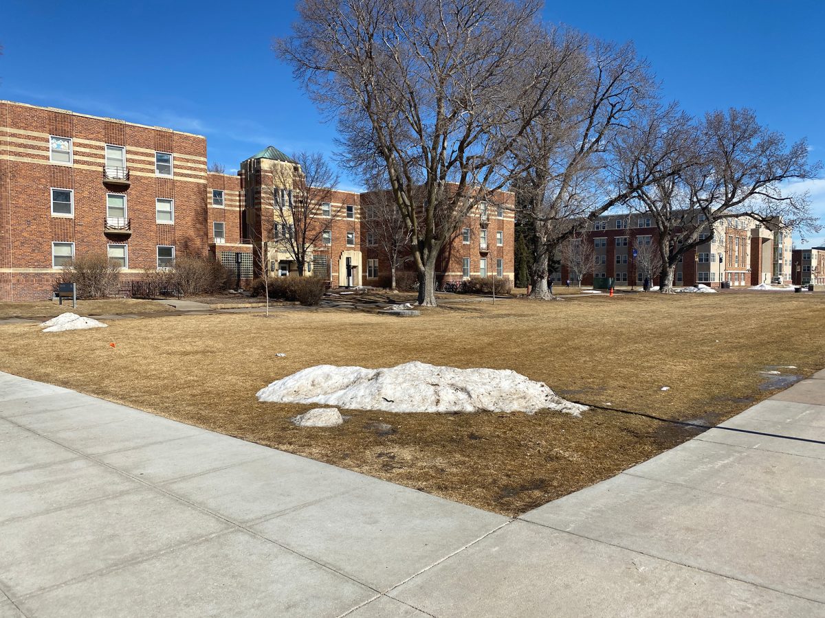 Some students will suntan in front of Men's Hall on hot days. Photo by Jenna Heinz / Antelope Staff